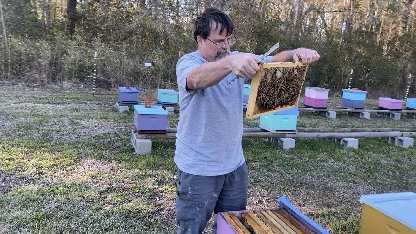 Ken Edgar is a master beekeeper. (Spectrum News 1/Natalie Mooney)